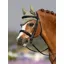 LeMieux Mini Fly Hood Fern