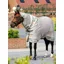 LeMieux Arika Armour-Tek Fly Rug Stone