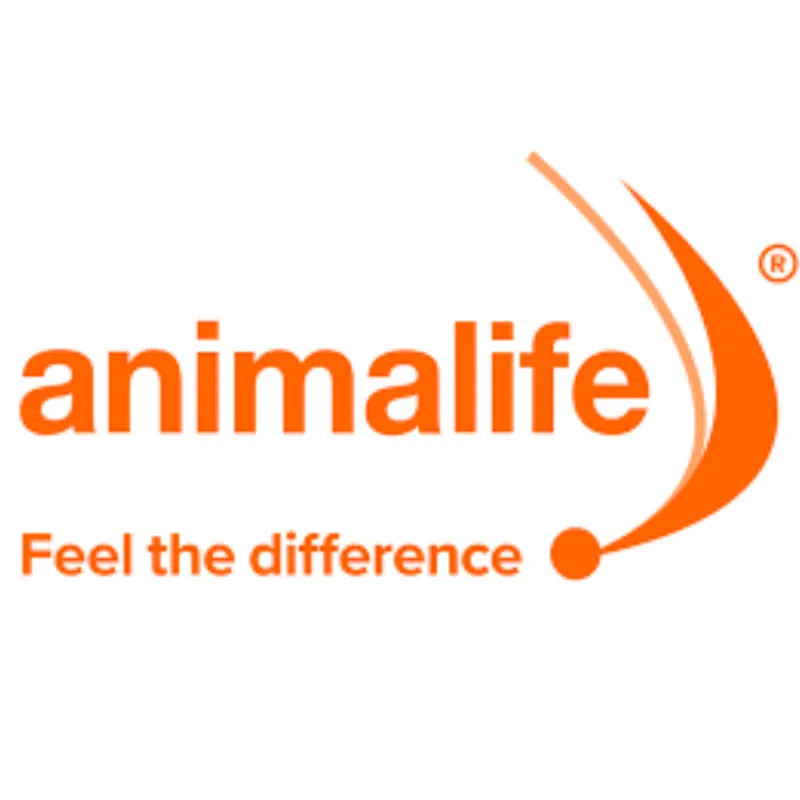 Premier Equine
