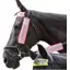 Hy Viz 3-piece Bridle Set in Pink