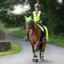 Woof Wear Hi - Vis Adult Riding Vest  - Yellow