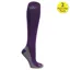 Woof Wear Competition Riding Socks  - Damson