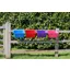 Red Gorilla Hanging Manger - Purple