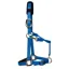 KM Elite Padded Headcollar -Teal