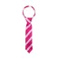 Supreme Products Show Tie - Pink Stripe