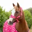 Battles Supreme Products Dotty Fleece Head Collar and Lead Rope - Paradise Pink
