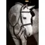 LeMieux Stitched Hunter Bridle with Laced Reins Black/Silver
