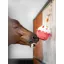 LeMieux Horse Toy - Cake
