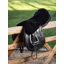 LeMieux Simuwool Seat Saver Black