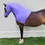 Battles Supreme Products Lycra Hood - Lilac