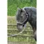 KM Elite Rope Halter Black/ Grey