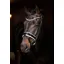 LeMieux Ice Crystal Browband - Black