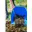 Red Gorilla Big Tidee with Plastic Rake - Blue
