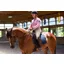 ThinLine English Reins Non-Slip Grip - Brown - Stud Hook - 60 - With Stoppers