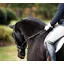 ThinLine English Reins Non-Slip Grip - Black - Buckle - 60 - Without Stoppers