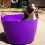 Red Gorilla Extra Large Gorilla Tub 75L - Purple
