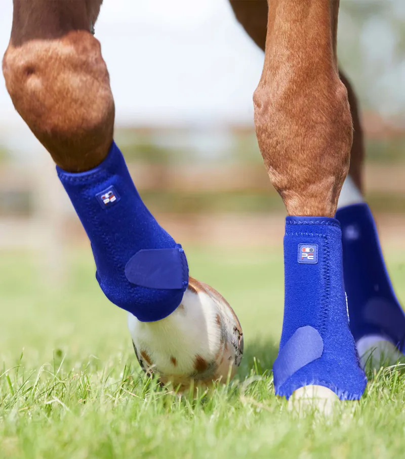 Royal blue horse clearance boots