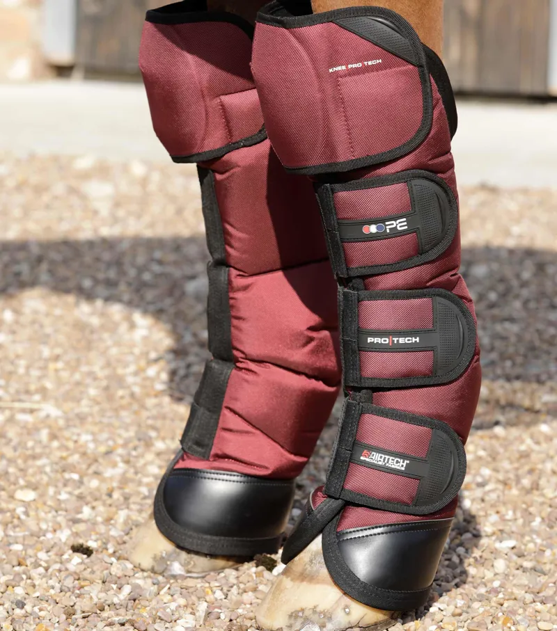 Burgundy horse boots 2025