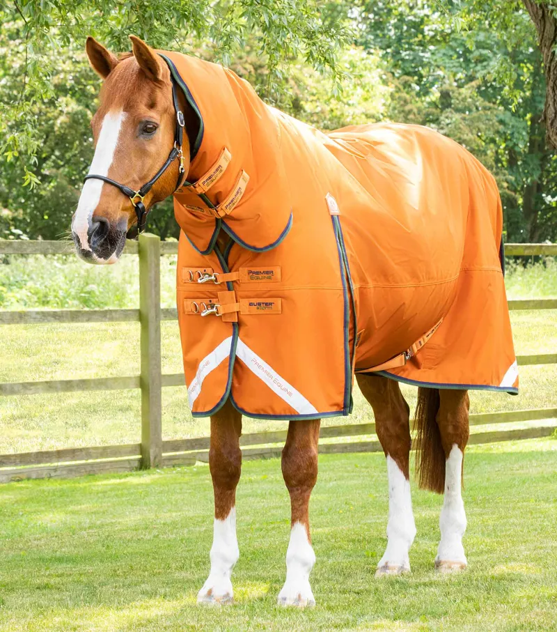 Premier equine store rugs