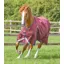 Premier Equine Buster Zero Original Turnout Rug Burgundy