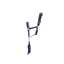 Hy Sport Active Head Collar and Lead Rope in Midnight Navy