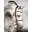 Ps of Sweden Ocala Anatomical Hunter Bridle - Black