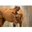 PS of Sweden Athens Limited Edition Grackle Bridle - Black