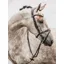 Ps of Sweden HvE Anatomical Bridle - Brown