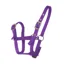 JHL Foal Headcollar in Purple
