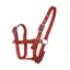 JHL Foal Headcollar in Red