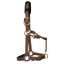 KM Elite Padded Headcollar in Brown