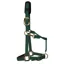 KM Elite Padded Headcollar in Hunter Green