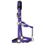 KM Elite Padded Headcollar in Purple