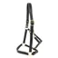 KM Elite Primera Padded Leather Headcollar in Black