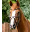 Premier Equine Glorioso Grackle Bridle Brown