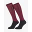 LeMieux Competition Socks 2 pack Ember