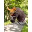 LeMieux Hobby Horse Fly Hood Ginger