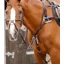 Premier Equine Invorio 5 Point Breastplate Brown