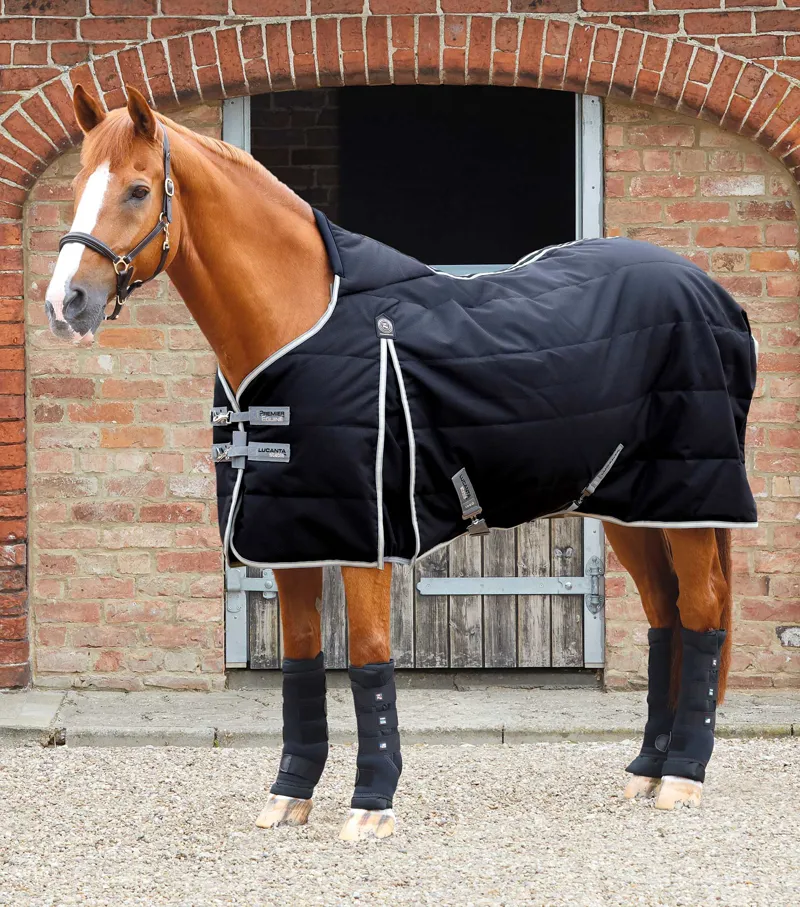 Premier equine rugs deals