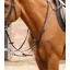 Premier Equine Norbello Hunter Breastplate Brown