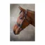 EcoRider Classic Show Bridle - Brown