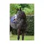 Cameo Anatomic Grackle Bridle with Sure Grip Reins Brown
