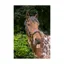 EcoRider Ecosoft Finesse Bridle - Brown