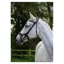 EcoRider Freedom Jump Bridle - Brown