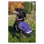 Cameo Canine Classic Canvas Waterproof Dog Coat - Purple