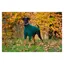 Cameo Canine Cosy Fleece Dog Jumper - Hunter Green