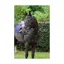 Cameo Equine Performance Elasticated Breastplate - Black
