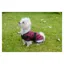 Cameo Canine Storm Waterproof Dog Coat  - Plum