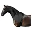 Battles Supreme Products Lycra Hood in Black
