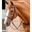 Premier Equine Primo Hunter Bridle Brown